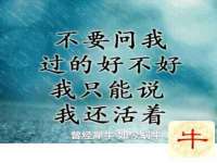 山西映山红贸易有限公司