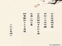 山西映山红贸易有限公司