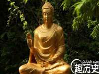 山西映山红贸易有限公司